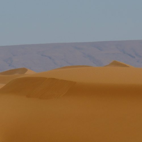 Yoga and Meditation Hike in the Sahara Desert