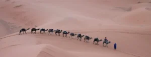 Caravane du Grand Sud Circuit 4x4 au Maroc 8 jours