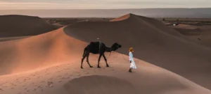 Ergs du Grand Sud Voyage désert Maroc 12 jours