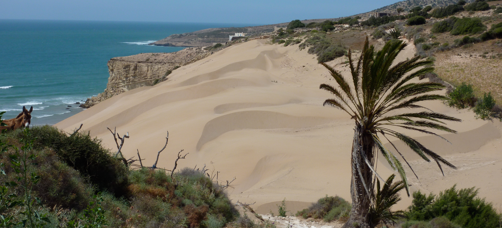 Coastal Travel Morocco