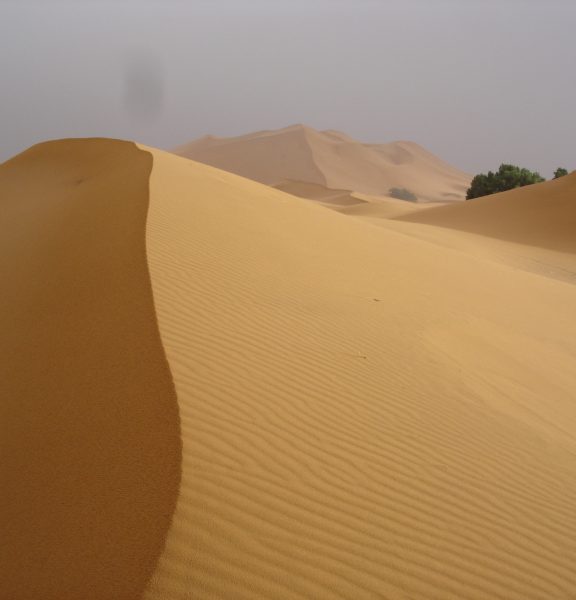 Adrian Nordenborg (241)