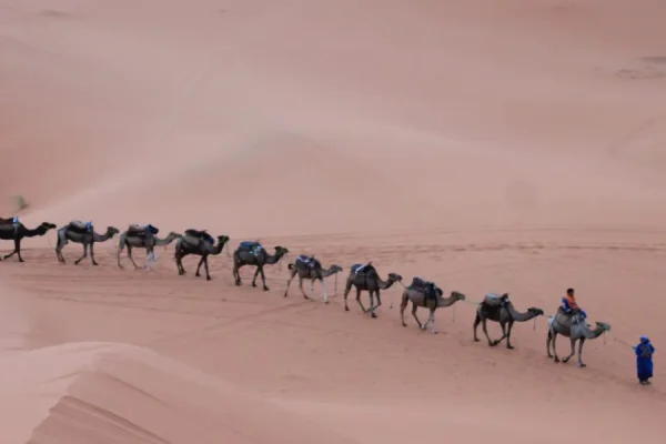 Caravane de Grand Sud 4×4