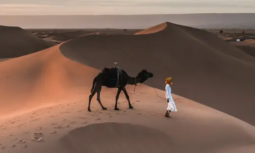 Ergs du Grand Sud Voyage désert Maroc 12 jours