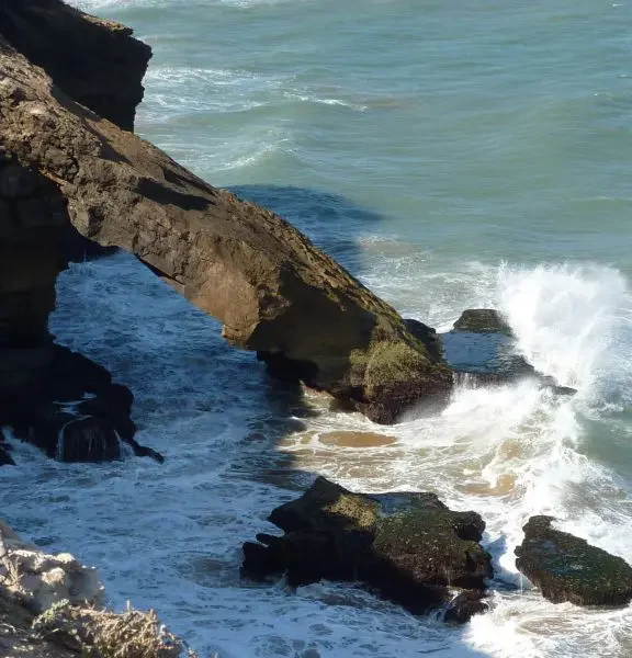 Randonnée Cote Atlantique Entre Dunes Mer