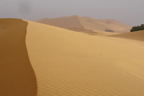 Randonnée Yoga & Méditation au Sahara