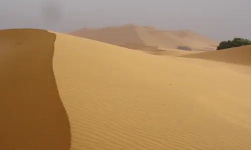 Randonnée Yoga et Méditation au Sahara