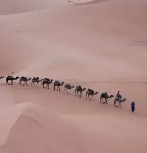 Randonnée Yoga et Méditation au Sahara Randonnée Yoga et Méditation au Sahara