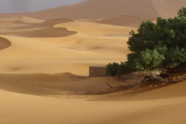 Travel in the desert of Morocco