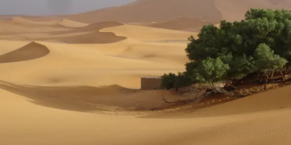 Travel in the desert of Morocco
