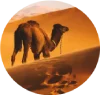 desert holidays Morocco