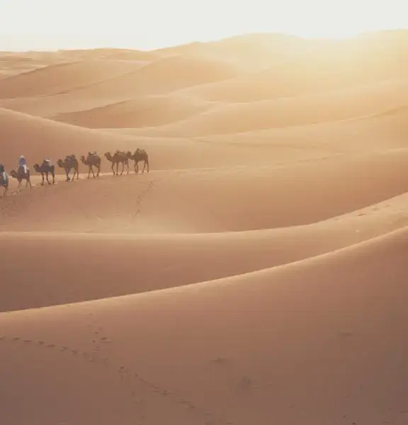 Offre de voyage Dunes et oasis du Drâa
