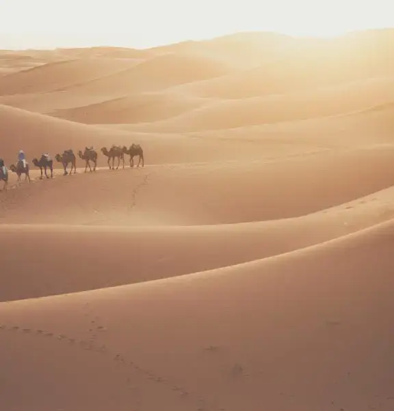 Offre de voyage Dunes et oasis du Drâa Offre de voyage Dunes et oasis du Drâa