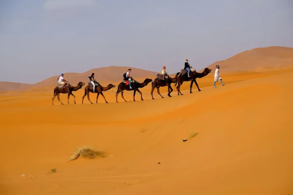 dunes-et-oasis-du-draa-1600x1000