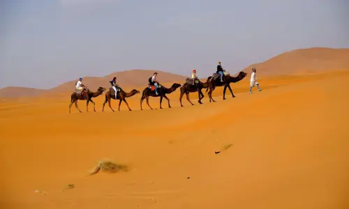 Dunes et oasis du Drâa Trek 7 jours au Maroc
