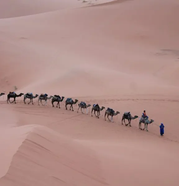 guide-voyage-800×600.jpg guide-voyage-800x600.jpg