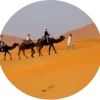 icon1