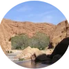 icon2