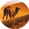 séjours désert Maroc