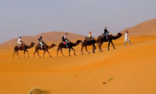 Voyages bien-être au Maroc