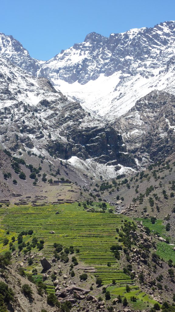 Trek Randonnée Toubkal Terres Et Voyages