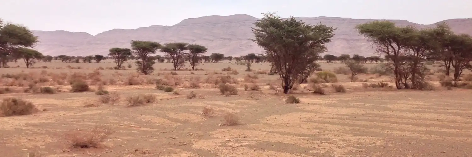 circuits et séjours maroc